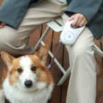 Dog Retractable Leash with LED Light – Safe & Tangle-Free - Image 11